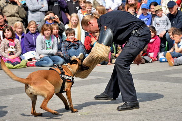 Polizeishow   047.jpg